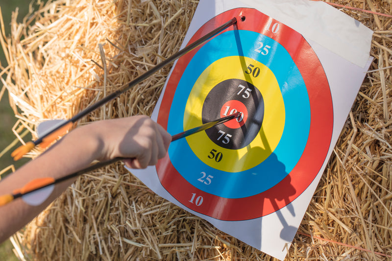 Bear Archery Safety Glass Youth Arrows