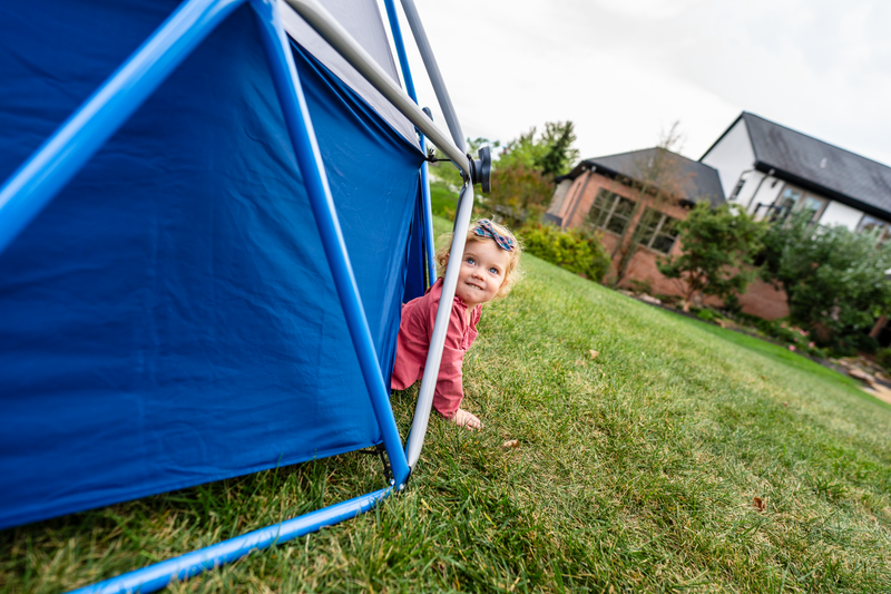 Jungle Gym & Canopy Set
