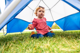 Jungle Gym & Canopy Set
