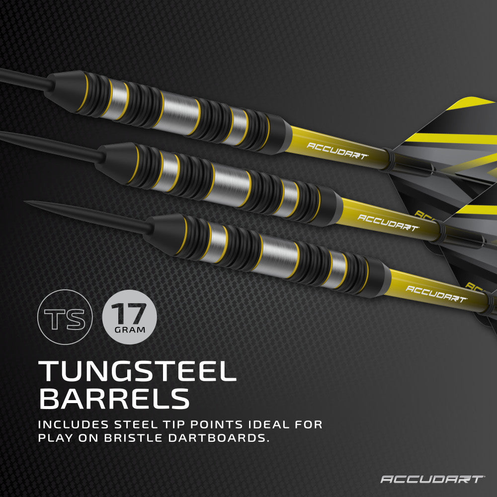 Steel Tip 4.0 Dart Set | Escalade Sports