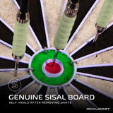 Nighthawk 2 in 1 LED/Blacklight Bristle Dartboard Surround Set