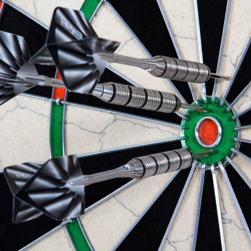 Nodor Supawire2 Bristle Dartboard