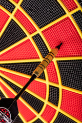 Cricket Pro 750 Electronic Dartboard_6