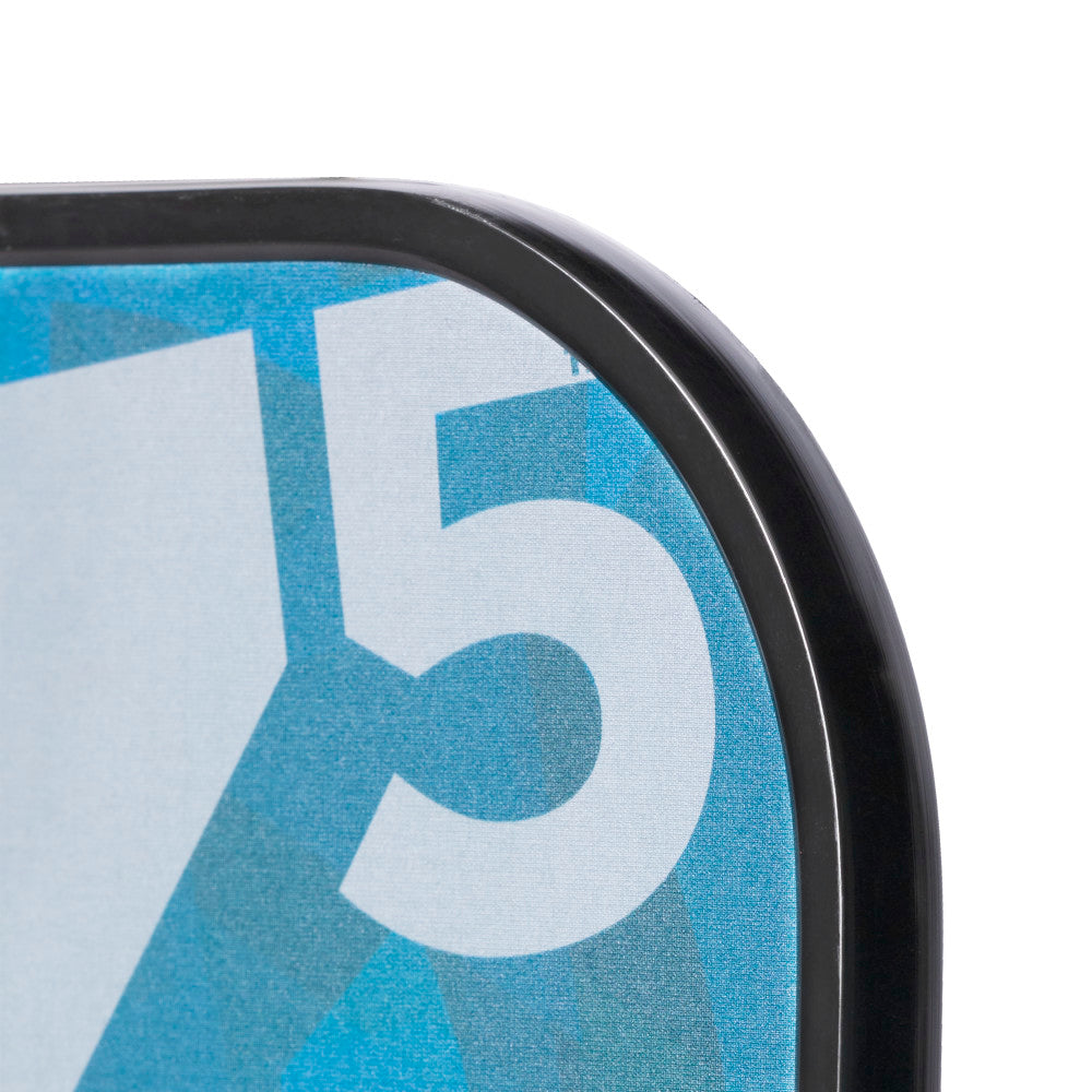 Graphite Mod Z5 Pickleball Paddle | Escalade Sports