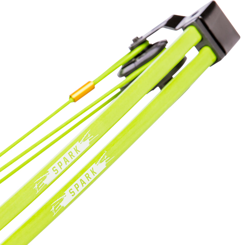 Bear Archery Spark Youth Bow Set