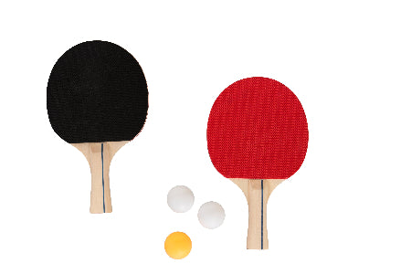 Lot de 6 balles de tennis de table bicolores