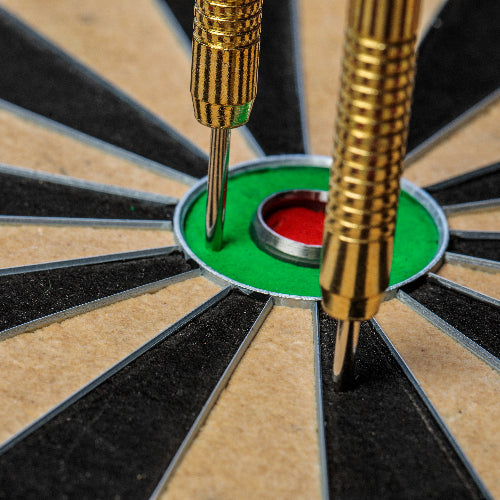 Eclipse HD2 Bristle Dartboard